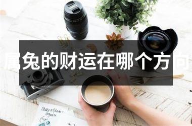 <h3>属兔的财运在哪个方向