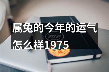 属兔的今年的运气怎么样1975