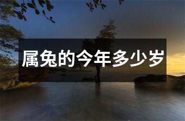属兔的今年多少岁