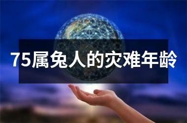 75属兔人的灾难年龄