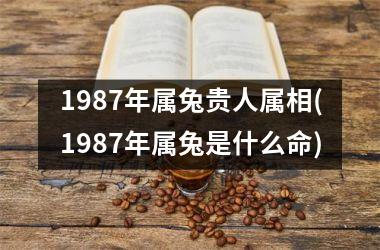 1987年属兔贵人属相(1987年属兔是什么命)