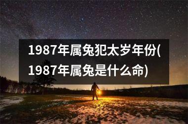 1987年属兔犯太岁年份(1987年属兔是什么命)