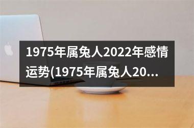 <h3>1975年属兔人2025年感情运势(1975年属兔人2025年运势及运程)