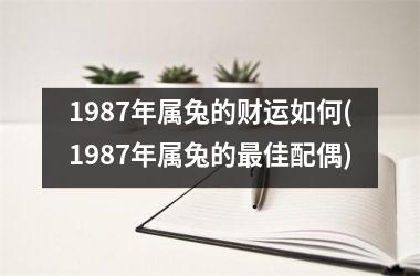 1987年属兔的财运如何(1987年属兔的佳配偶)