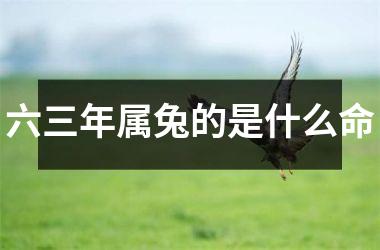 <h3>六三年属兔的是什么命