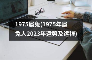 1975属兔(1975年属兔人2025年运势及运程)
