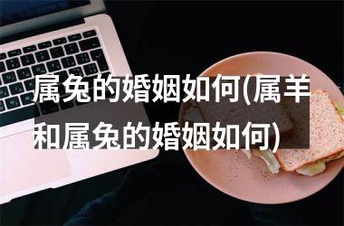 属兔的婚姻如何(属羊和属兔的婚姻如何)