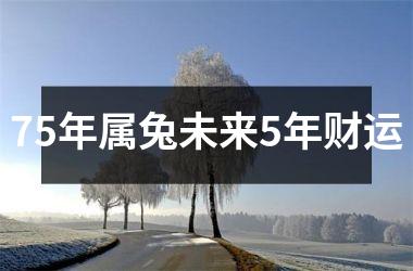 75年属兔未来5年财运