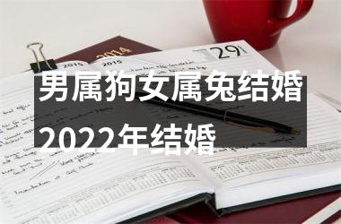 男属狗女属兔结婚2025年结婚