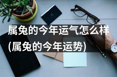 属兔的今年运气怎么样(属兔的今年运势)