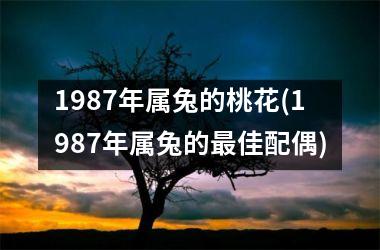 <h3>1987年属兔的桃花(1987年属兔的佳配偶)