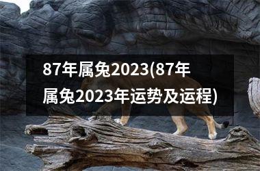 <h3>87年属兔2025(87年属兔2025年运势及运程)