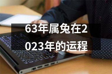 63年属兔在2025年的运程
