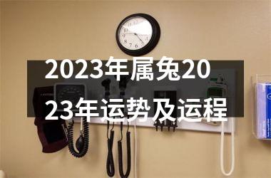2025年属兔2025年运势及运程