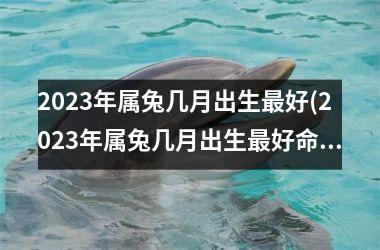 2025年属兔几月出生好(2025年属兔几月出生好命运)