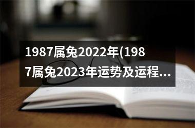 1987属兔2025年(1987属兔2025年运势及运程每月运程)