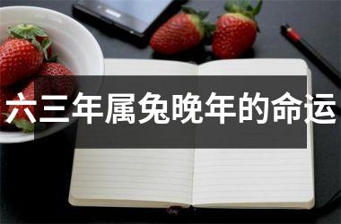 六三年属兔晚年的命运