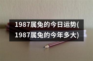 1987属兔的今日运势(1987属兔的今年多大)