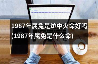 1987年属兔是炉中火命好吗(1987年属兔是什么命)