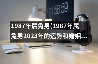 1987年属兔男(1987年属兔男2025年的运势和婚姻)