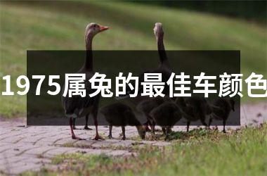 <h3>1975属兔的佳车颜色