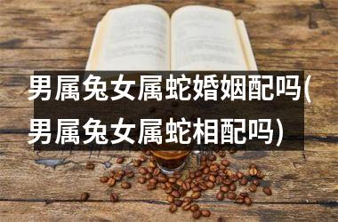 男属兔女属蛇婚姻配吗(男属兔女属蛇相配吗)