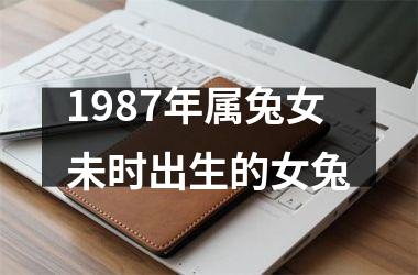 1987年属兔女未时出生的女兔