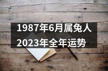 1987年6月属兔人2025年全年运势