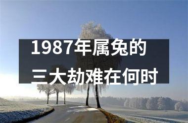 1987年属兔的三大劫难在何时