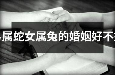 男属蛇女属兔的婚姻好不好