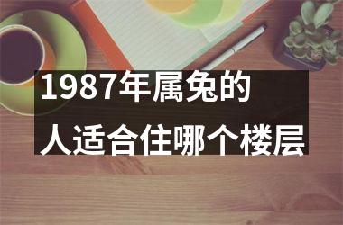 1987年属兔的人适合住哪个楼层