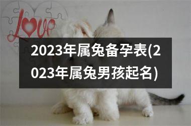 2025年属兔备孕表(2025年属兔男孩起名)