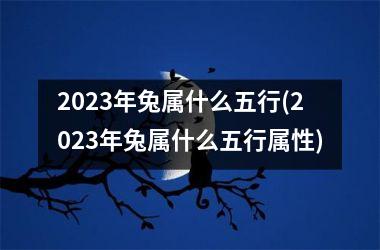 2025年兔属什么五行(2025年兔属什么五行属性)