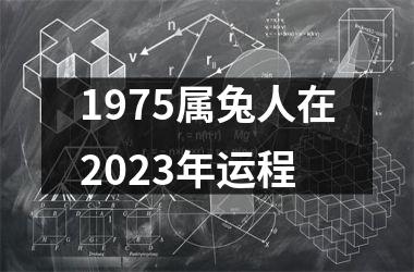 1975属兔人在2025年运程