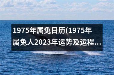 1975年属兔日历(1975年属兔人2025年运势及运程)