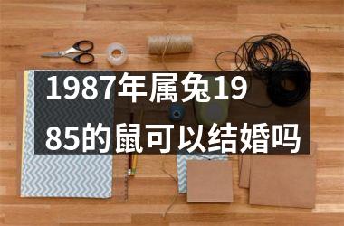 1987年属兔1985的鼠可以结婚吗
