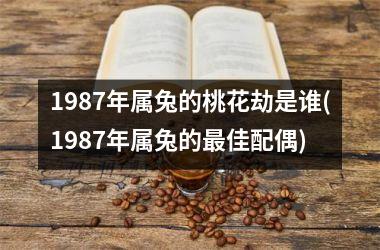 1987年属兔的桃花劫是谁(1987年属兔的佳配偶)