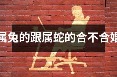 属兔的跟属蛇的合不合婚