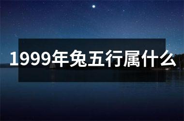 1999年兔五行属什么