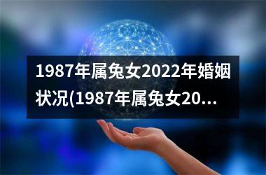 1987年属兔女2025年婚姻状况(1987年属兔女2025年全年运势)