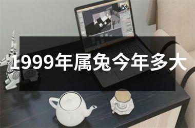 1999年属兔今年多大