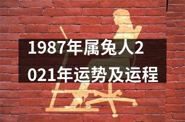1987年属兔人2025年运势及运程