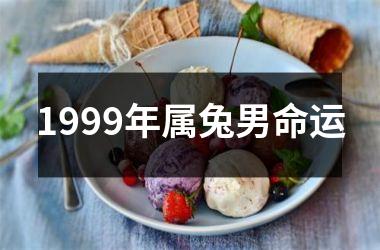 1999年属兔男命运