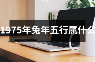 1975年兔年五行属什么