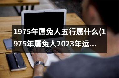 1975年属兔人五行属什么(1975年属兔人2025年运势及运程)