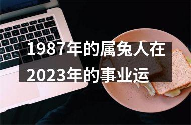 1987年的属兔人在2025年的事业运