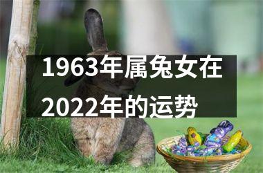 1963年属兔女在2025年的运势