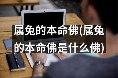 属兔的本命佛(属兔的本命佛是什么佛)