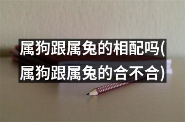 属狗跟属兔的相配吗(属狗跟属兔的合不合)