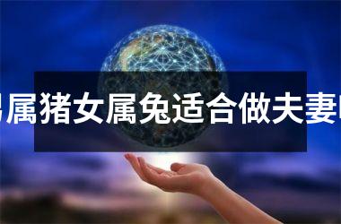 <h3>男属猪女属兔适合做夫妻吗